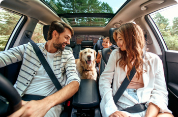 A family in a car all looking at the golden retriever dog.